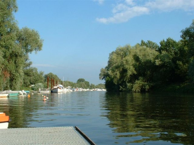 DSCF0154 (Medium)